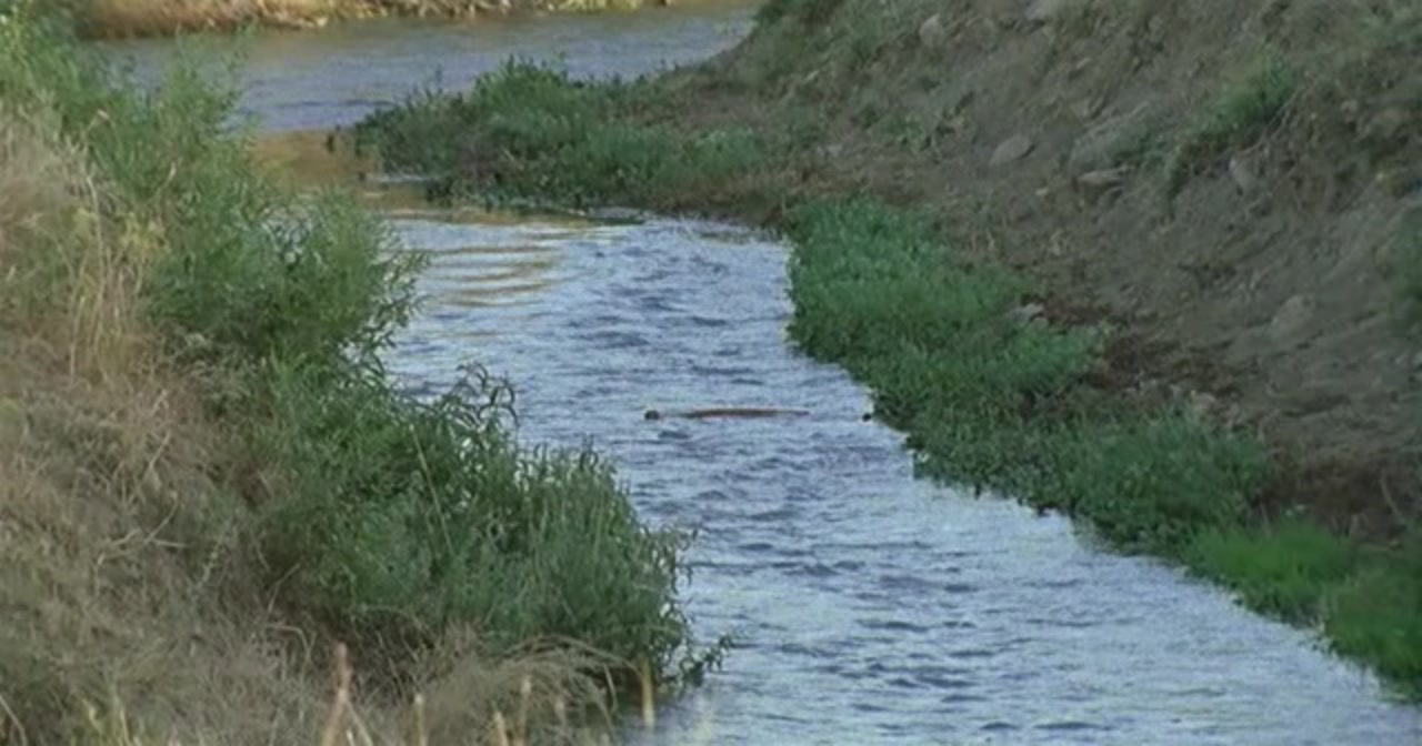 随风而逝剧照的剧照