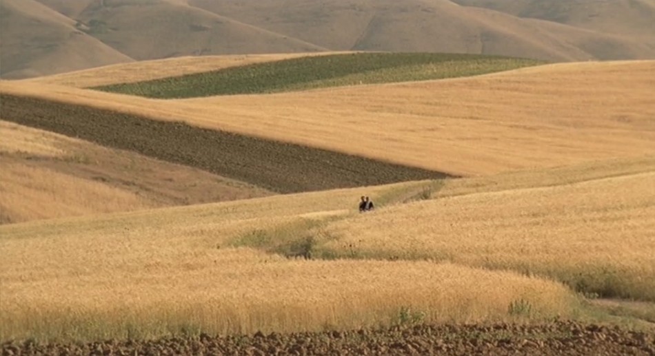 随风而逝剧照的剧照