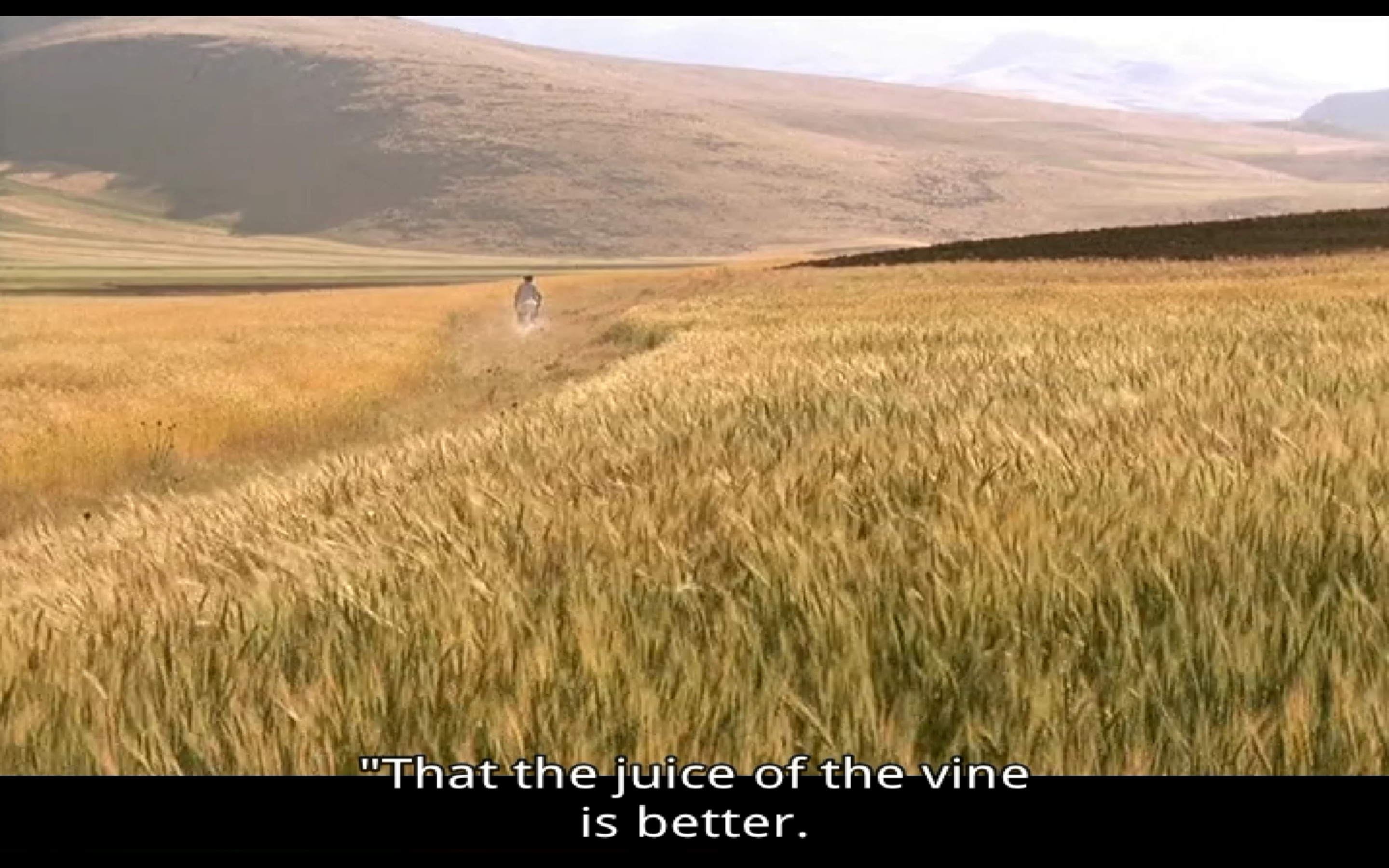 随风而逝剧照的剧照