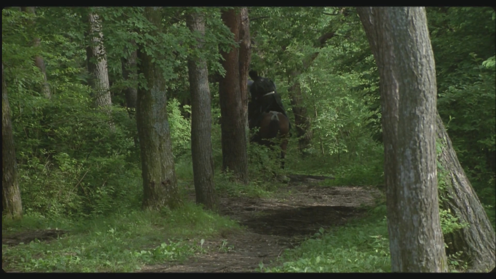 大雨天剧照的剧照