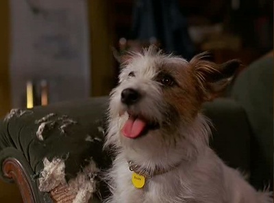 亲爱的，我把孩子缩小了剧照的剧照