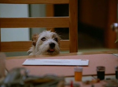 亲爱的，我把孩子缩小了剧照的剧照