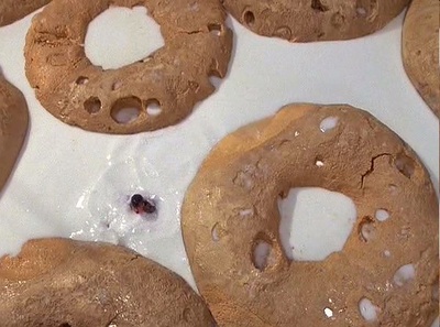 亲爱的，我把孩子缩小了剧照的剧照