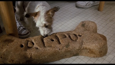 亲爱的，我把孩子缩小了剧照的剧照