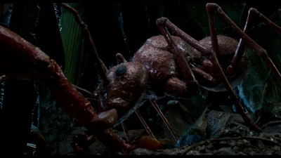 亲爱的，我把孩子缩小了剧照的剧照