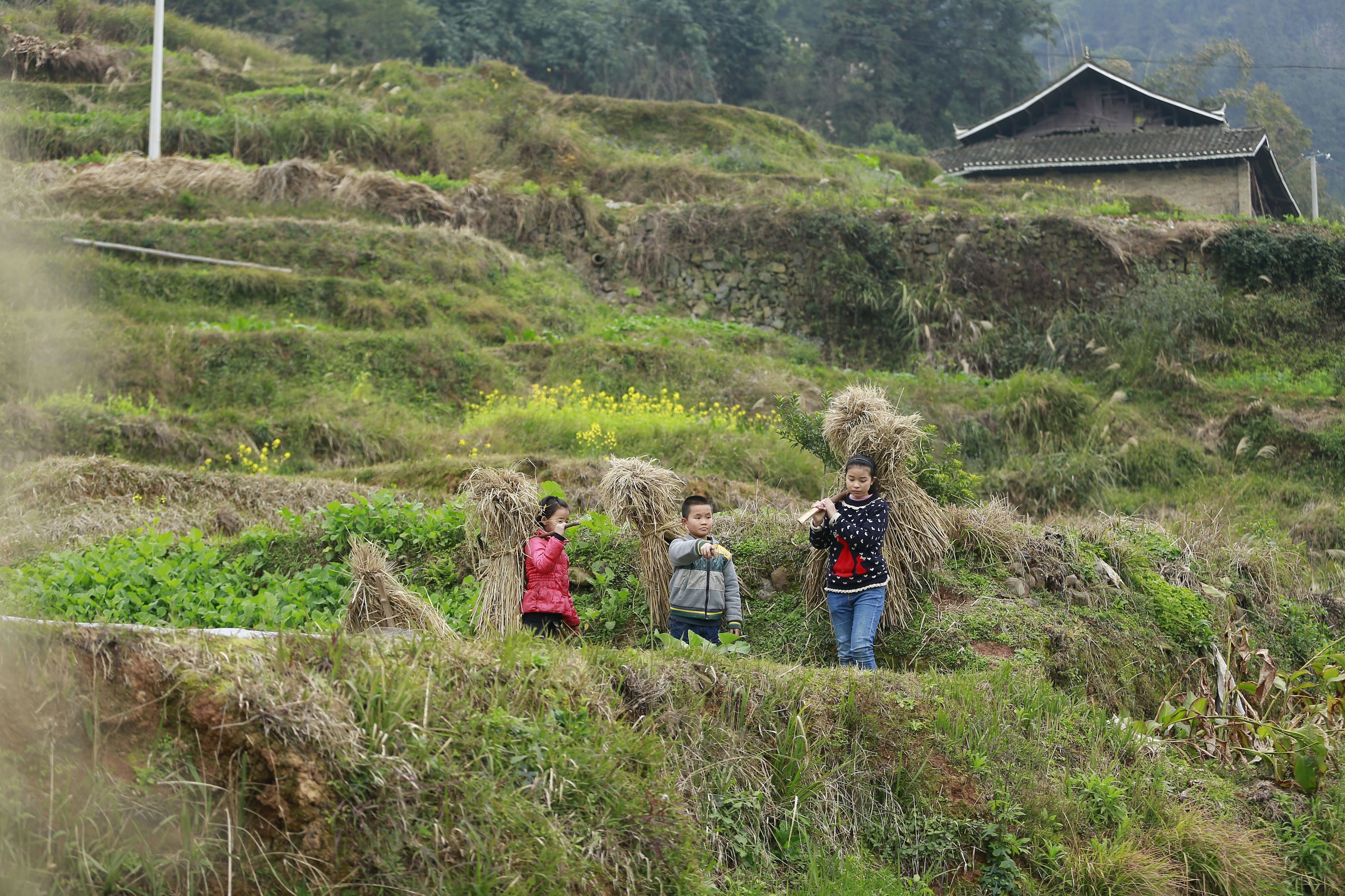 天使的声音剧照的剧照