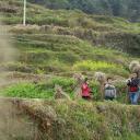 天使的声音剧照