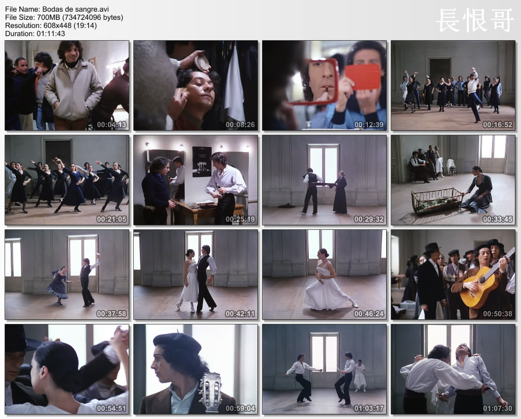 血婚剧照的剧照