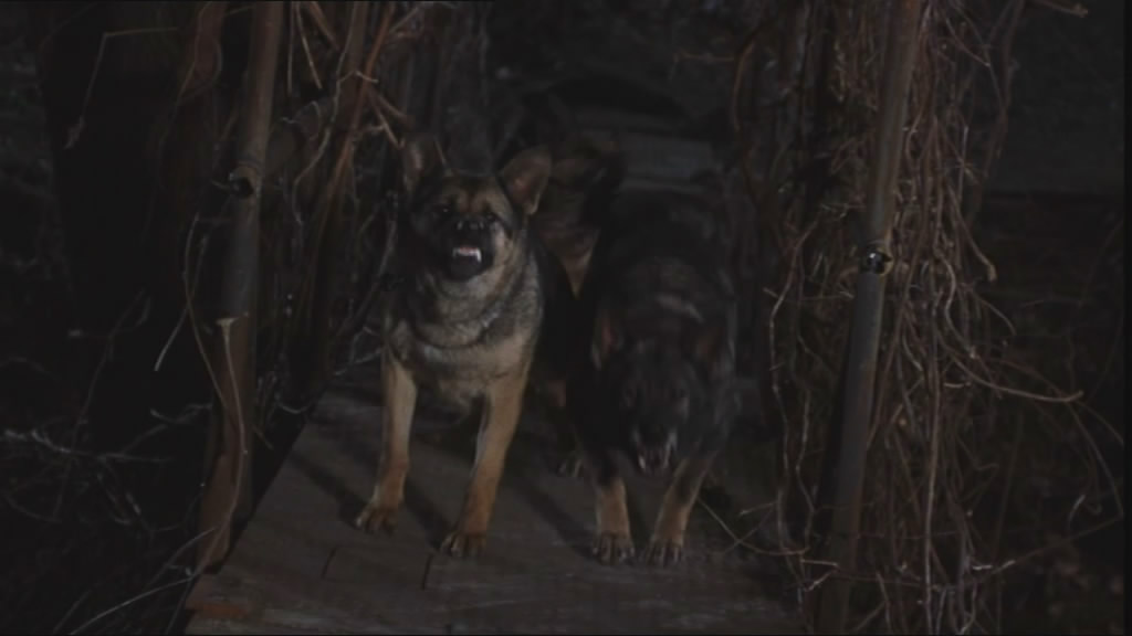 女巫布莱尔2：影子之书剧照的剧照