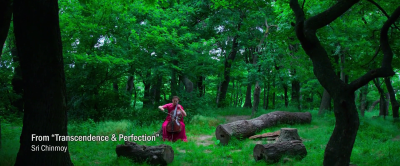 3100, Run and Become剧照的剧照