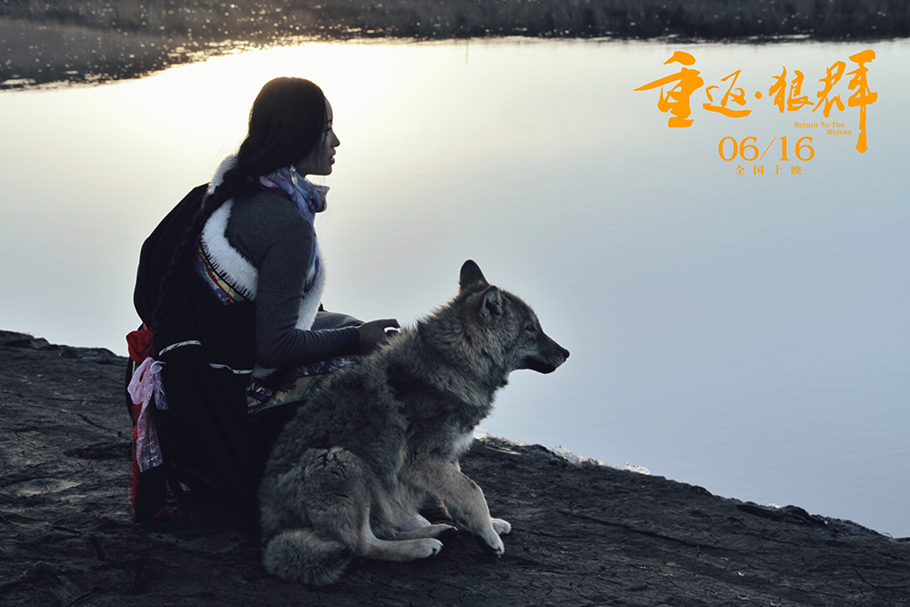 重返·狼群剧照的剧照