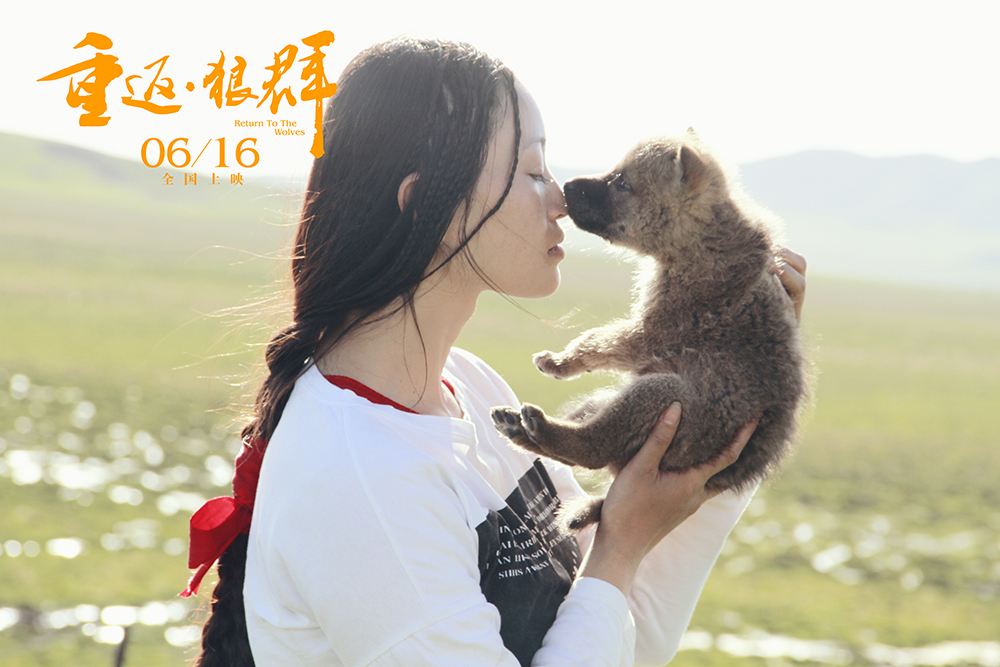 重返·狼群剧照的剧照