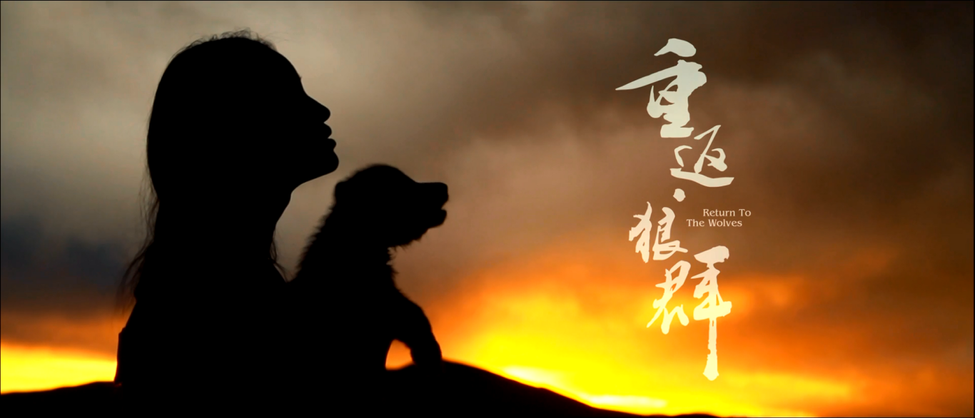 重返·狼群剧照的剧照