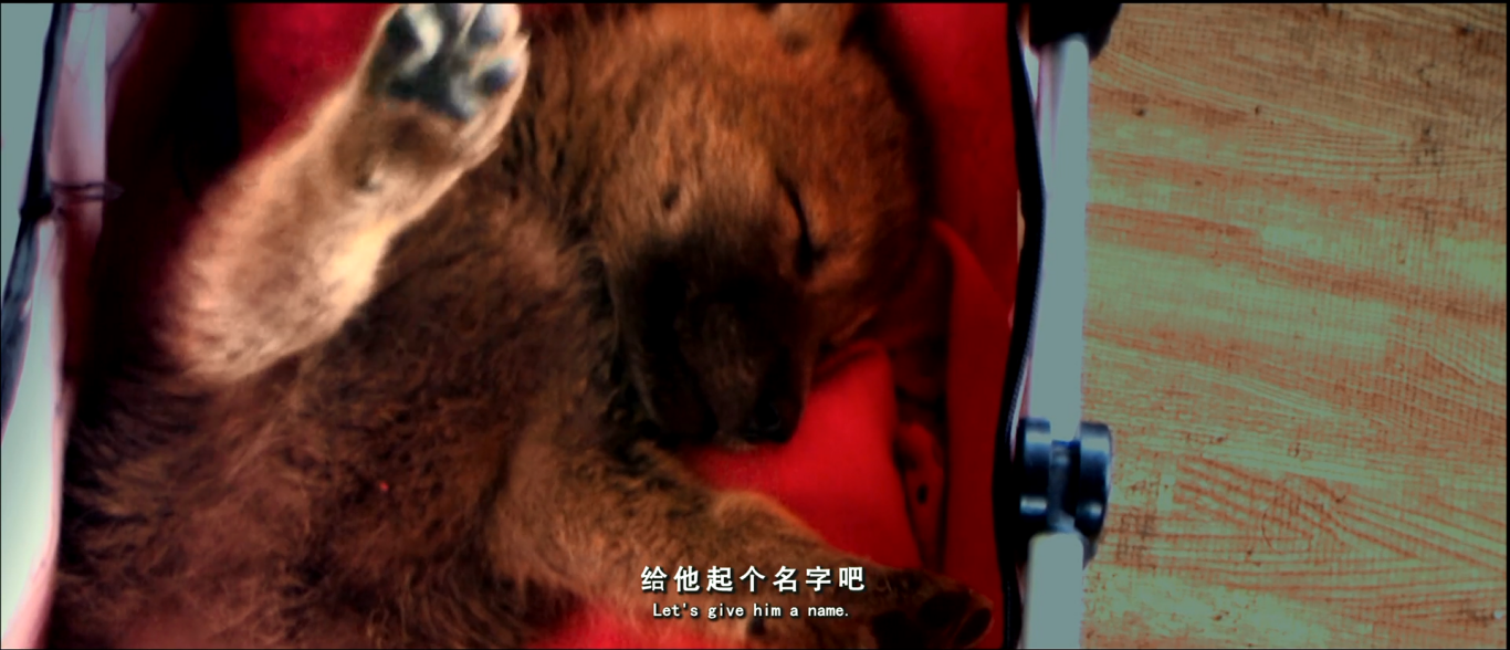 重返·狼群剧照的剧照