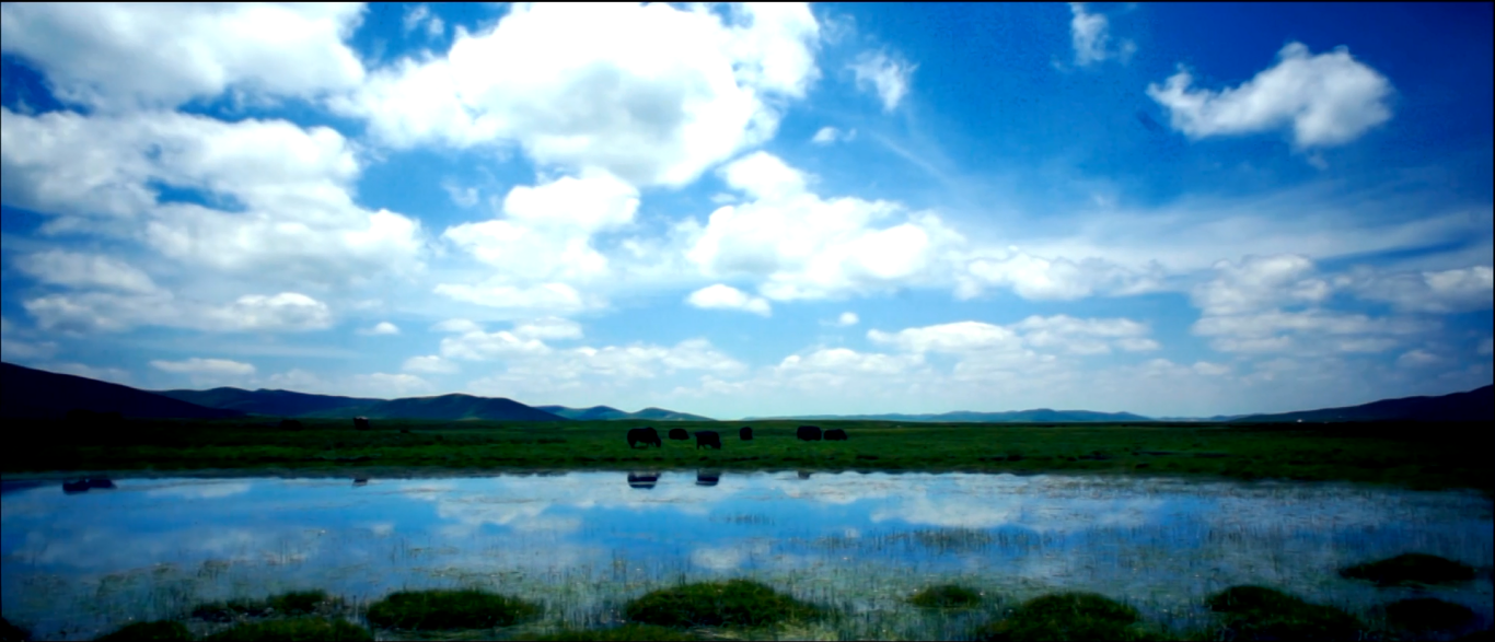 重返·狼群剧照的剧照