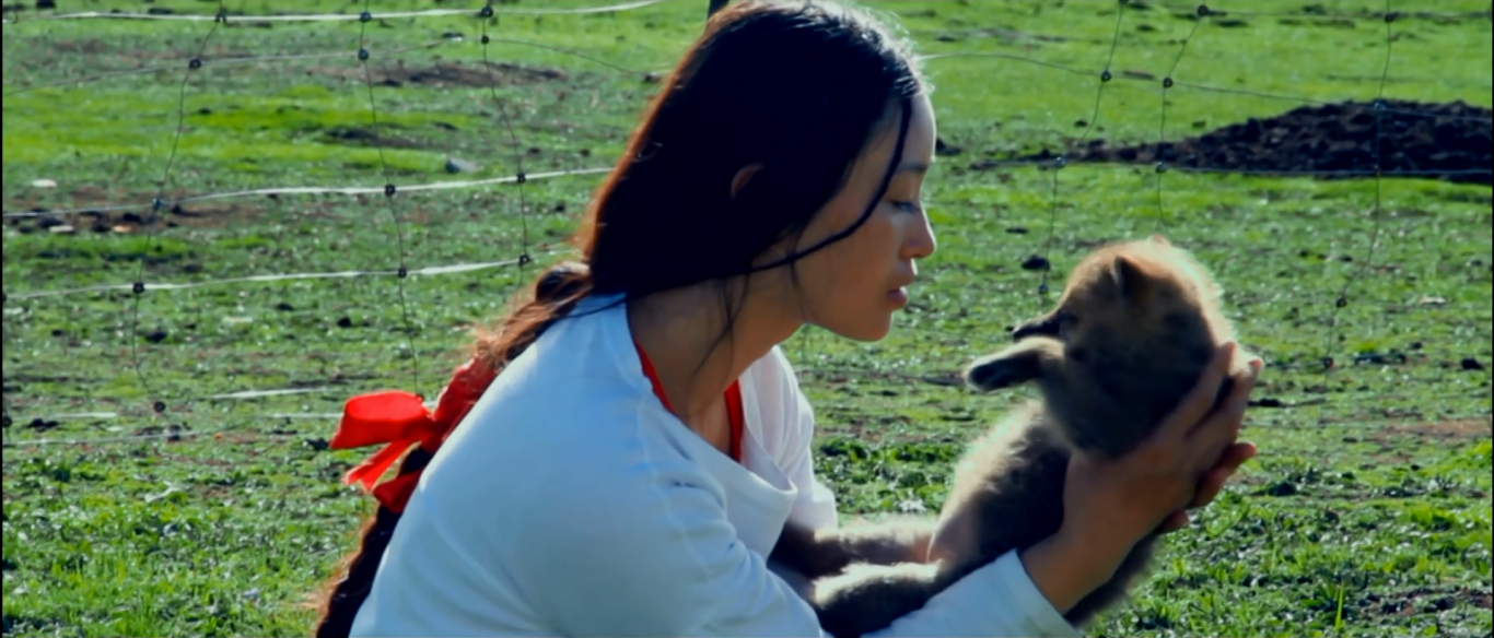 重返·狼群剧照的剧照