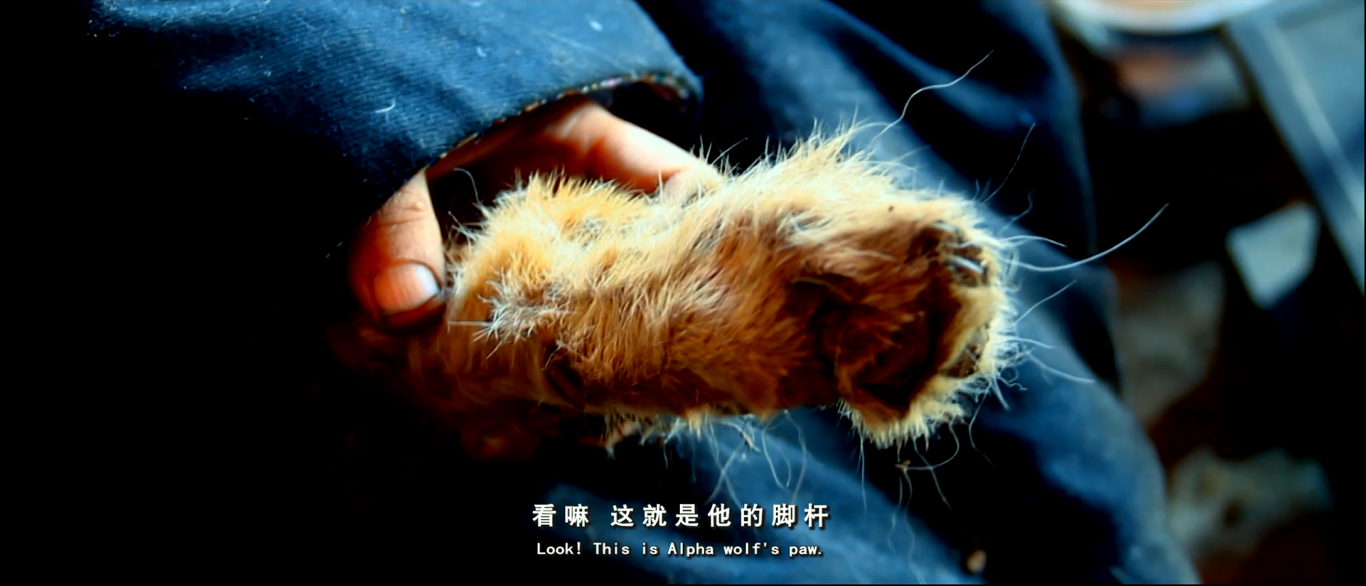 重返·狼群剧照的剧照