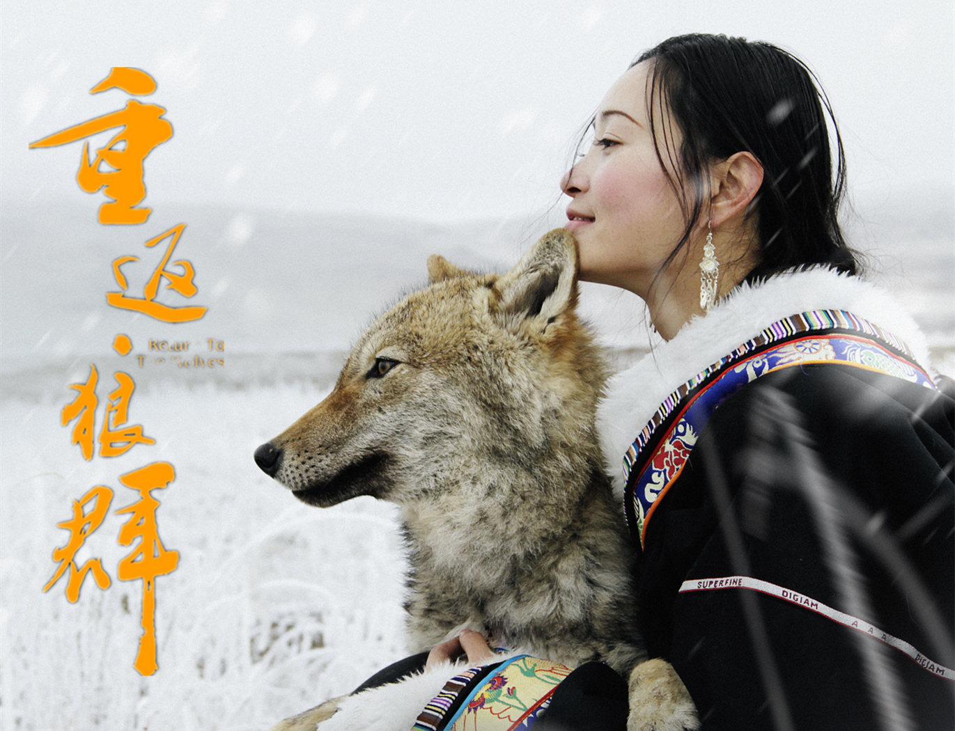 重返·狼群剧照的剧照