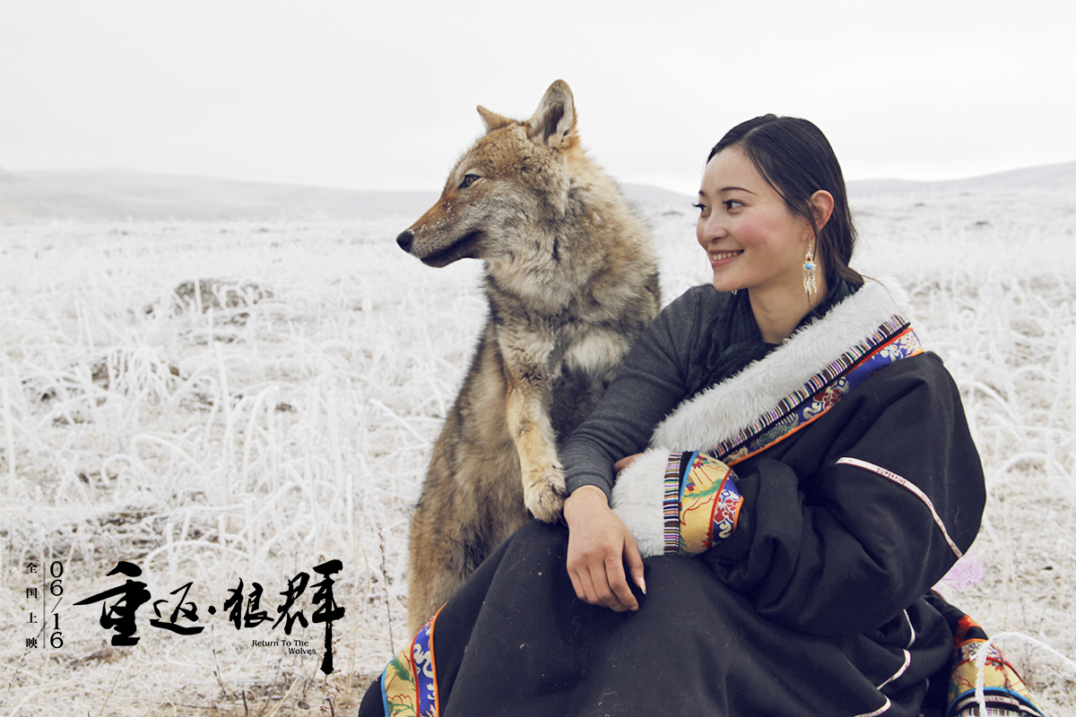 重返·狼群剧照的剧照