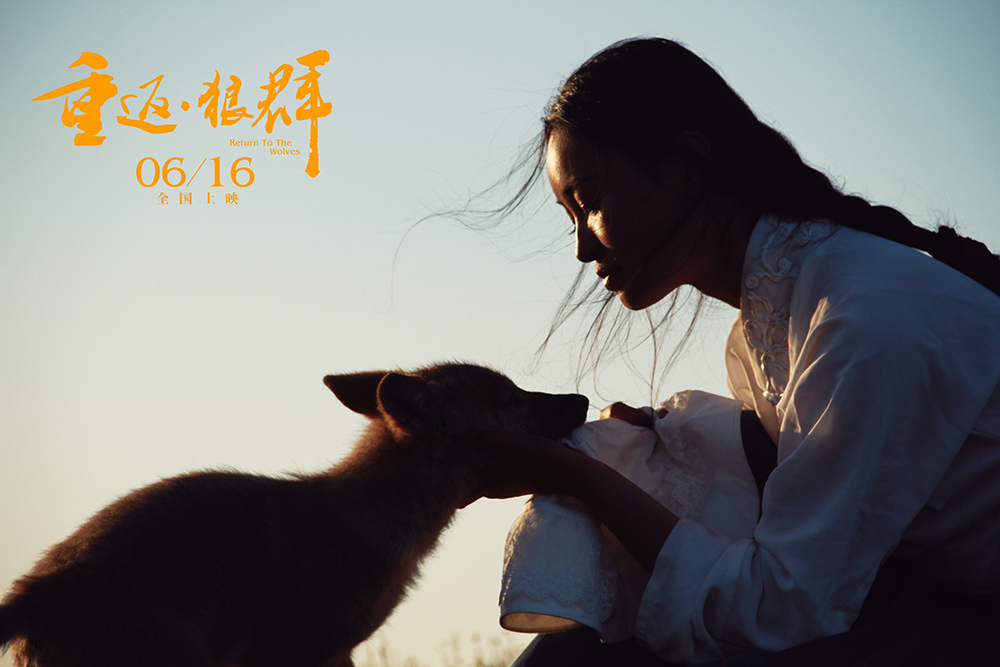 重返·狼群剧照的剧照