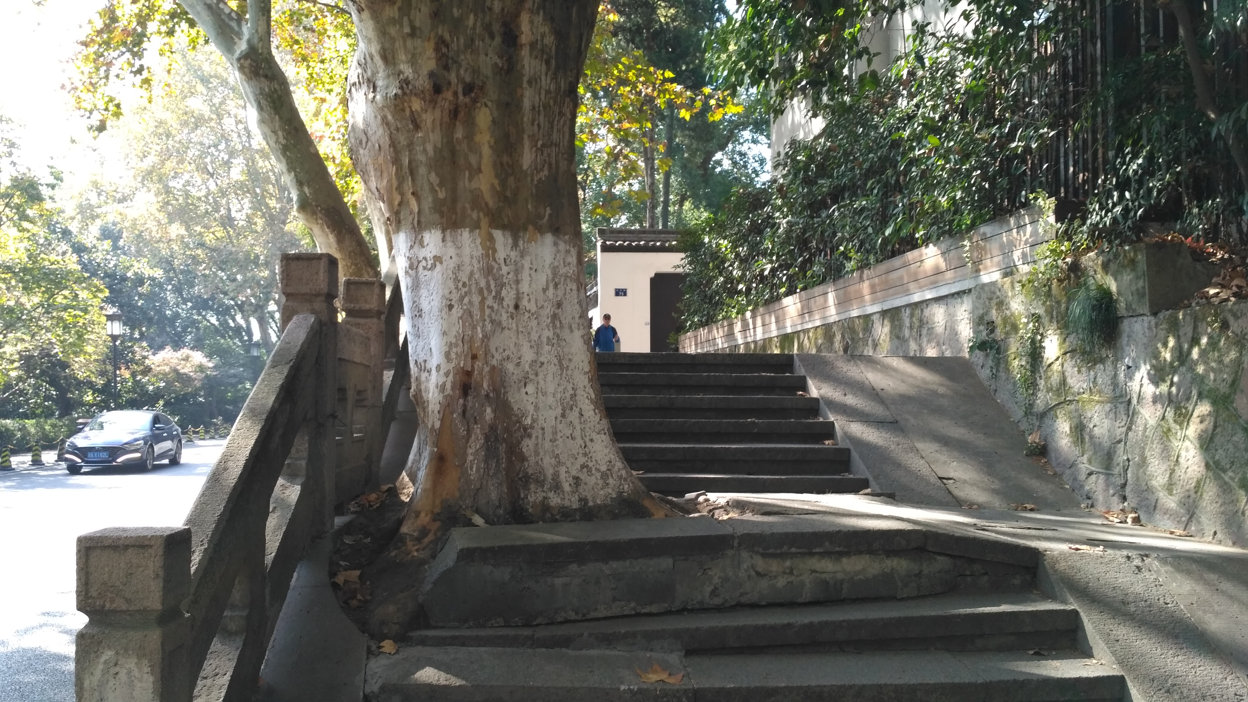 80'后剧照的剧照