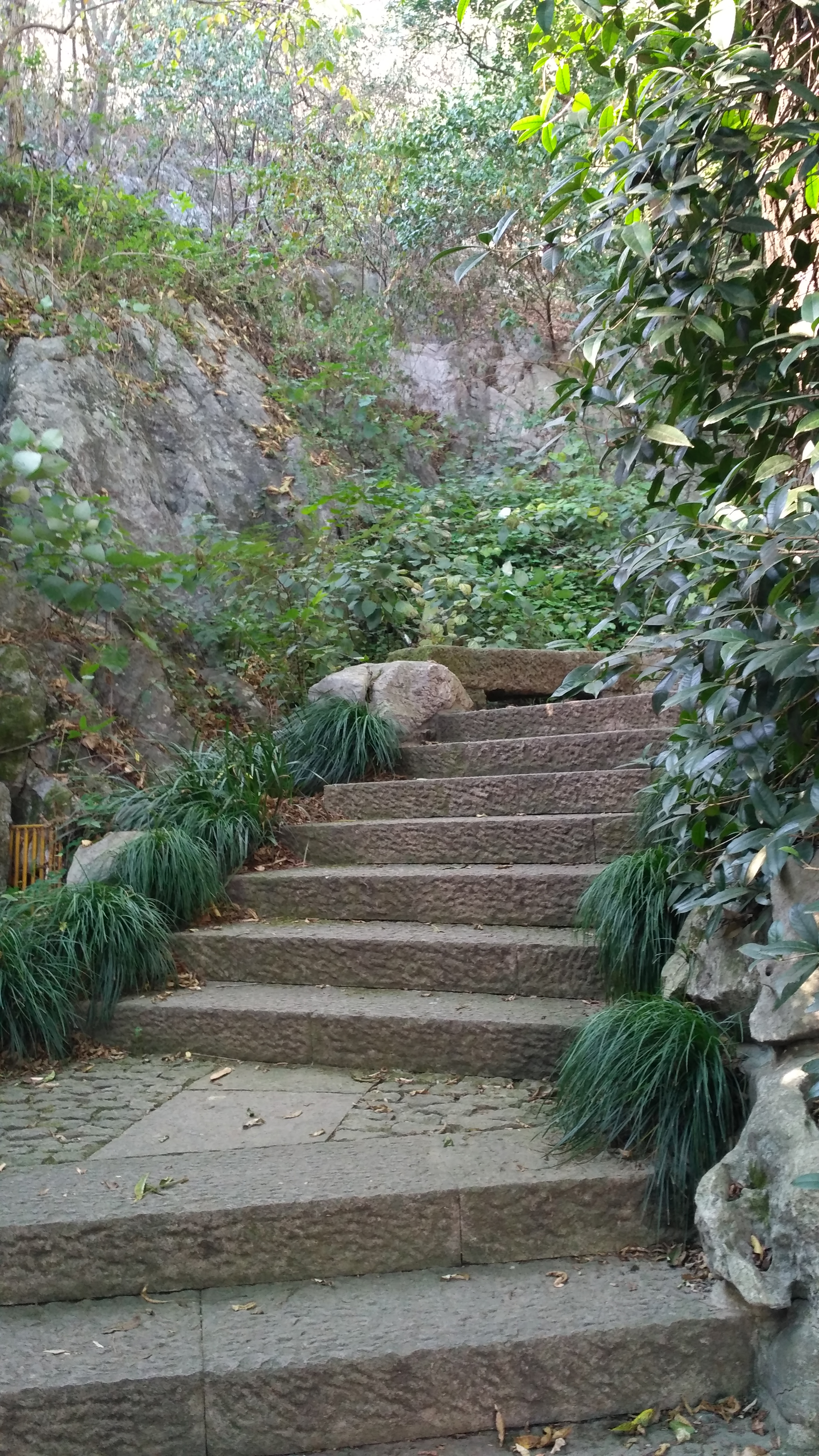 80'后剧照的剧照