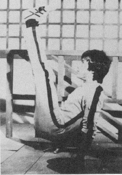 李小龙：勇士的旅程剧照的剧照