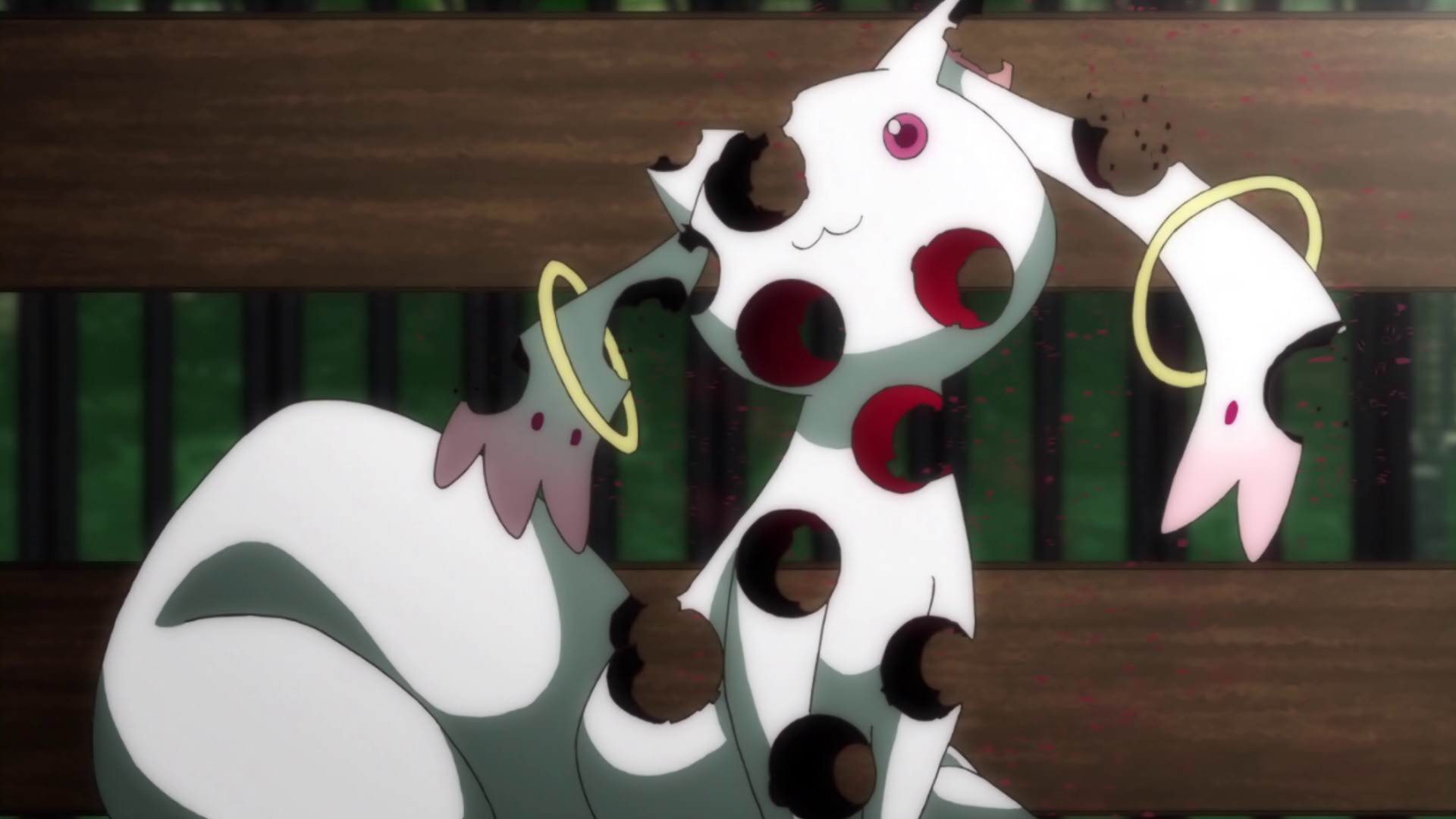 剧场版魔法少女小圆 前篇 起始的故事剧照的剧照