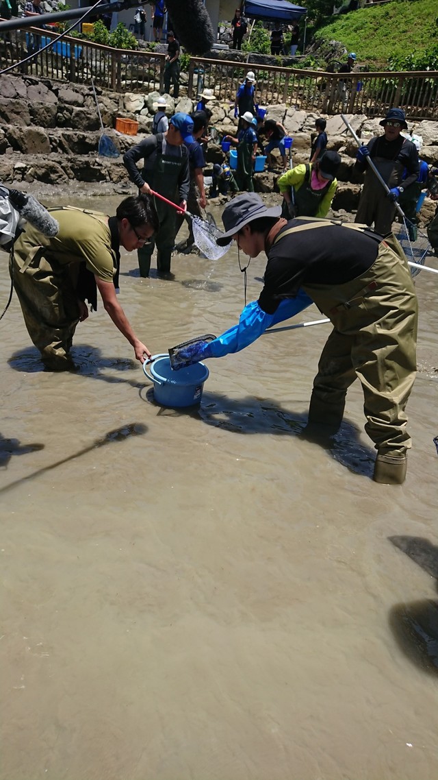 死神 真人版剧照的剧照