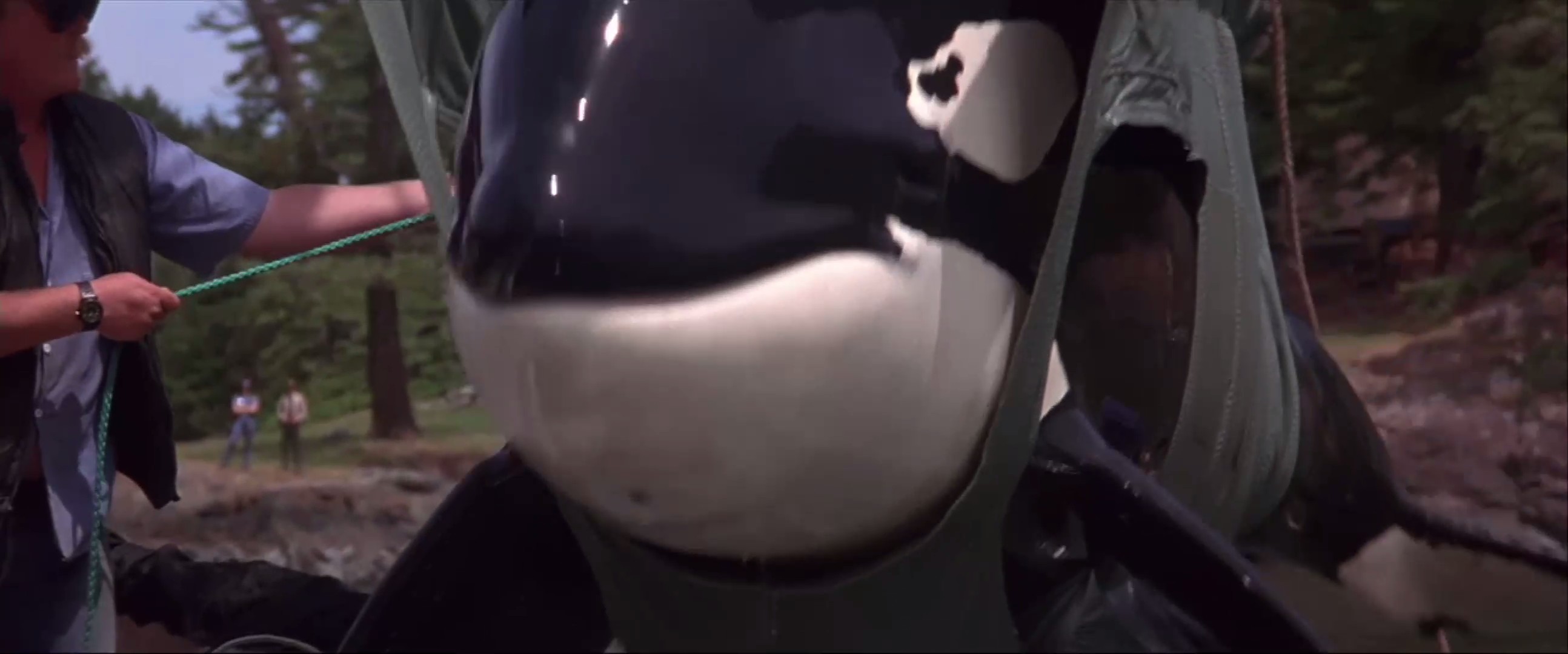 威鲸闯天关2剧照的剧照