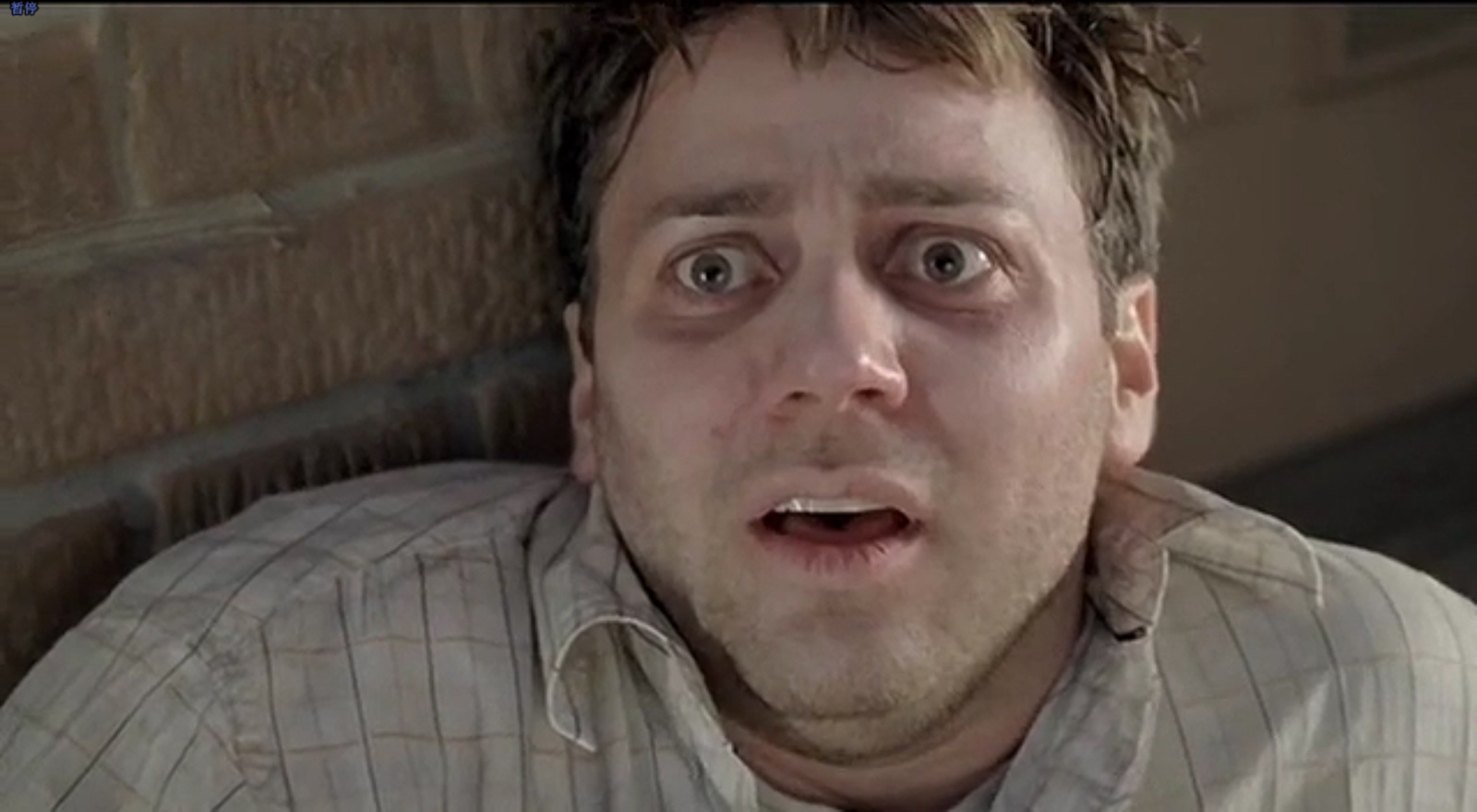 鬼作秀3剧照的剧照