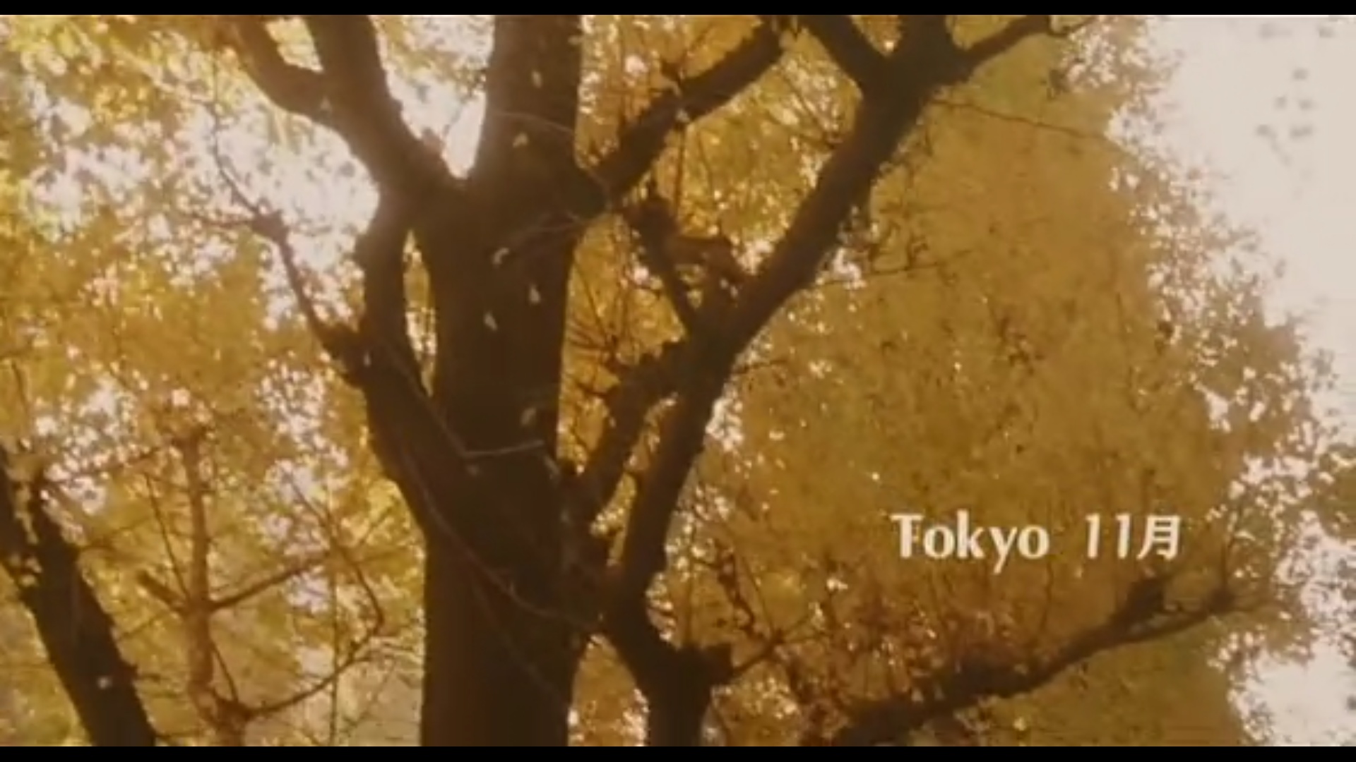 东京塔剧照的剧照