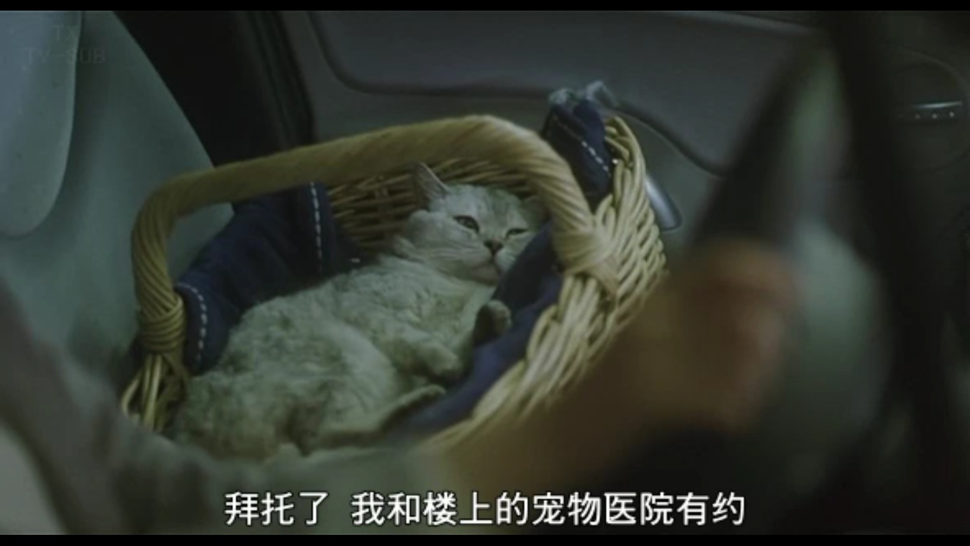 东京塔剧照的剧照