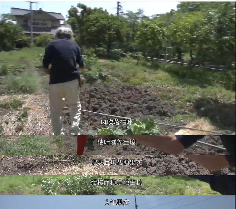 人生果实剧照的剧照