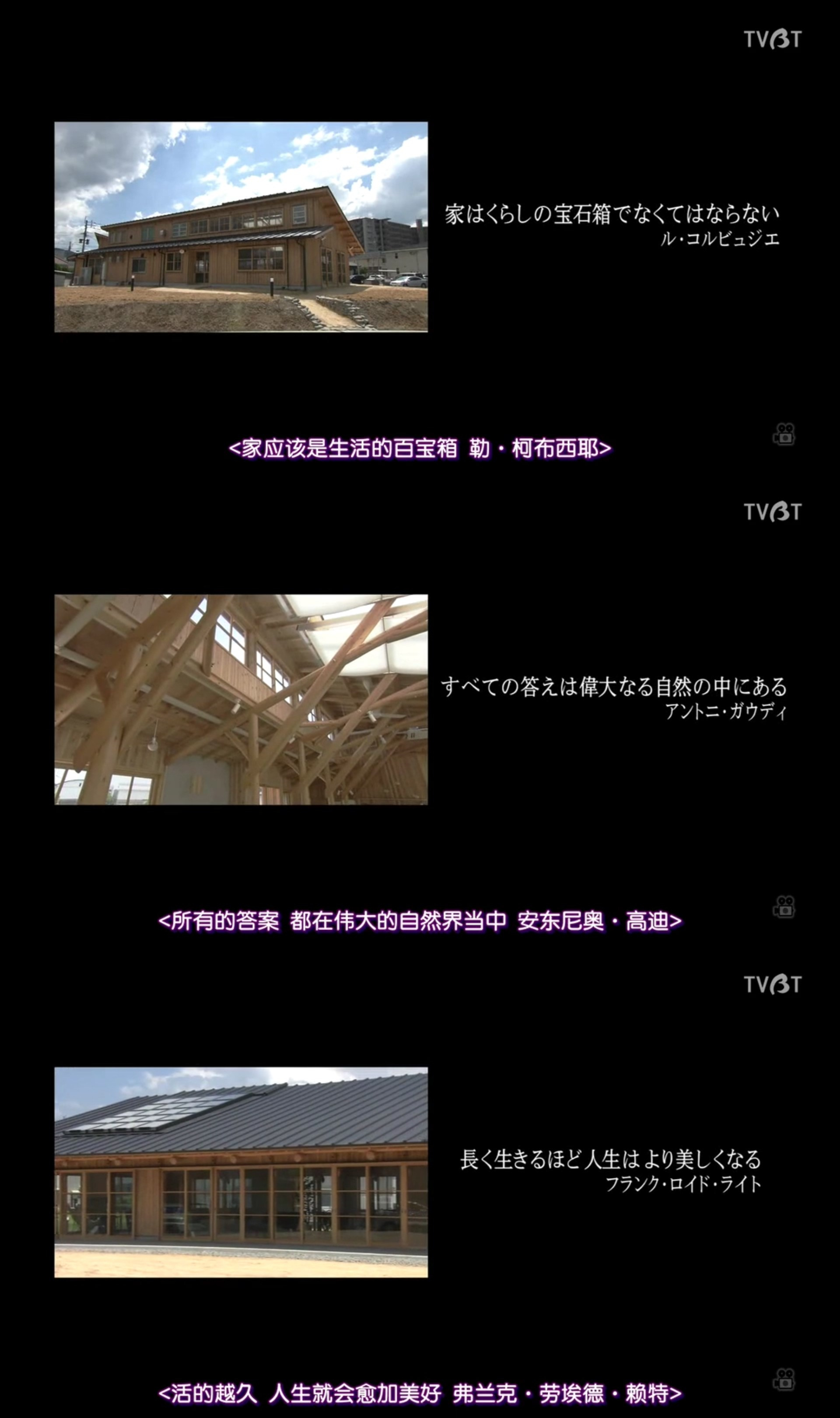 人生果实剧照的剧照