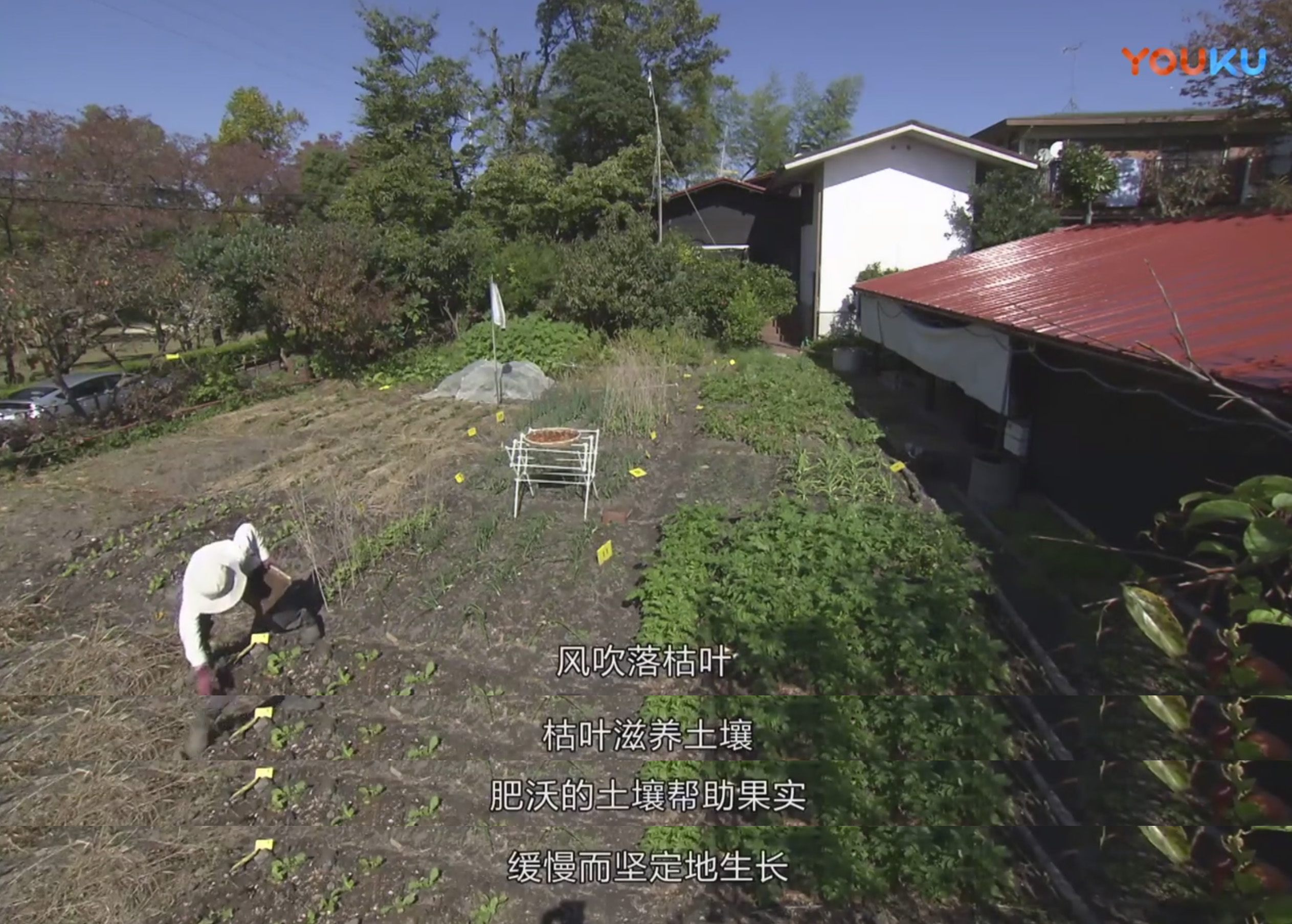 人生果实剧照的剧照