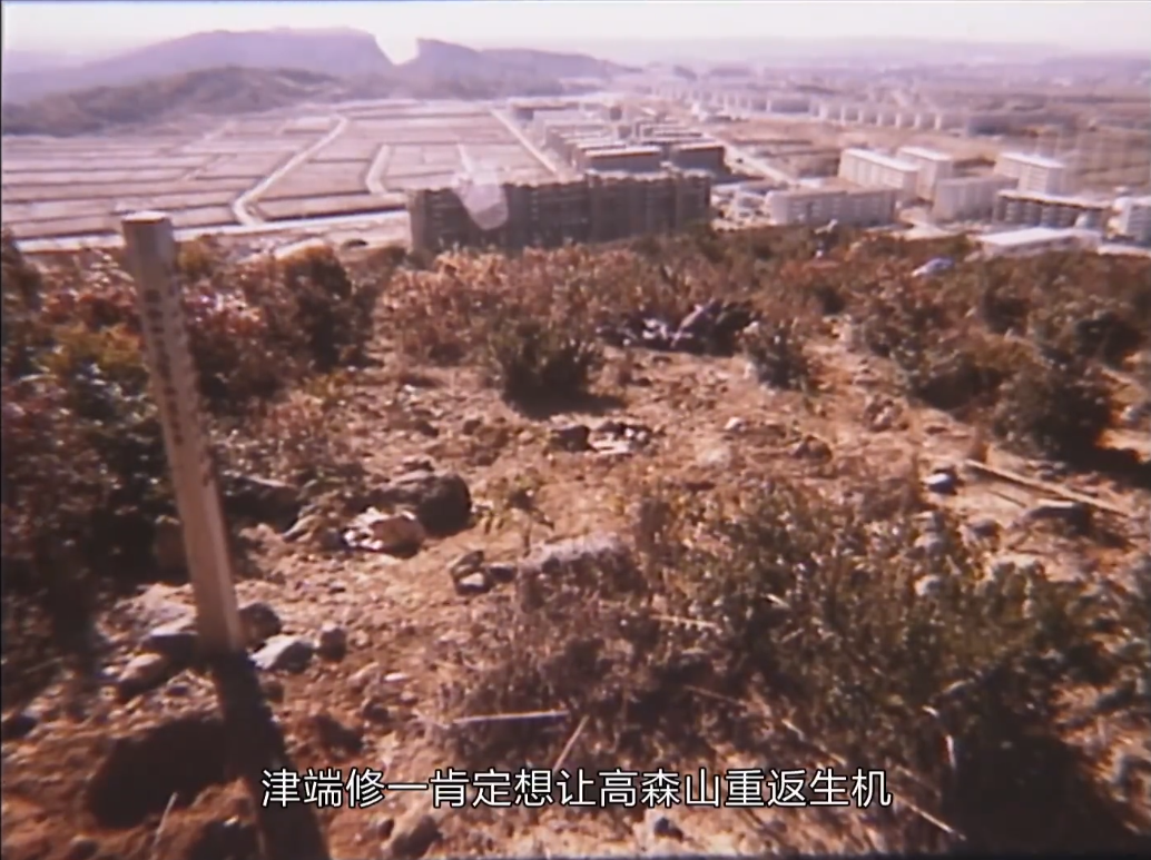 人生果实剧照的剧照