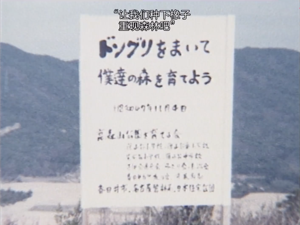 人生果实剧照的剧照