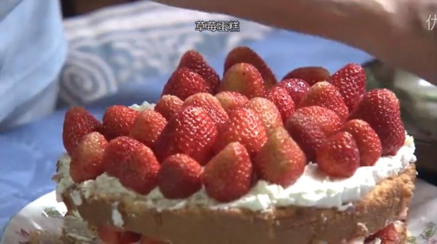 人生果实剧照的剧照