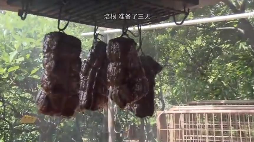 人生果实剧照的剧照