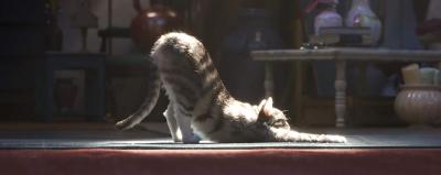 玩具总动员4剧照的剧照