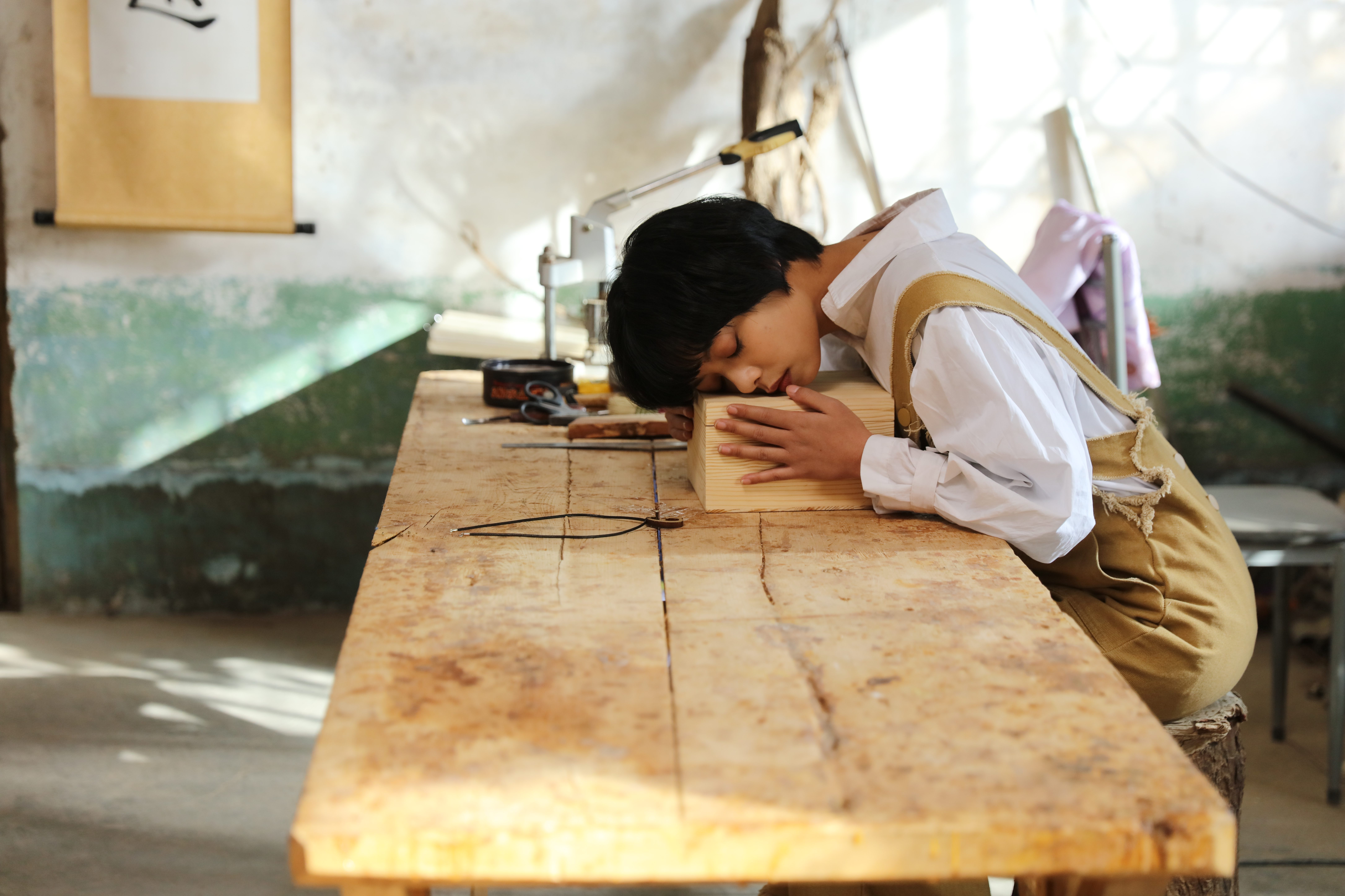 萌宠入殓师剧照的剧照