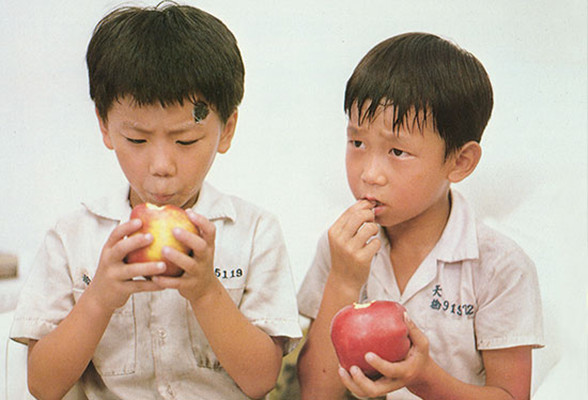 儿子的大玩偶剧照的剧照