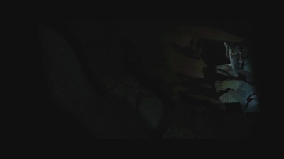 诡怪疑云剧照的剧照