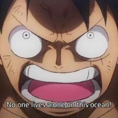 海贼王：狂热行动剧照的剧照