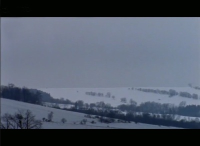 苦儿流浪记剧照的剧照