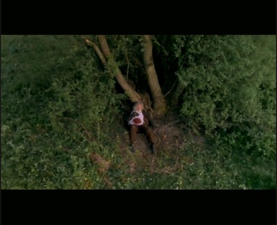 苦儿流浪记剧照的剧照