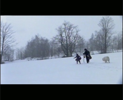 苦儿流浪记剧照的剧照