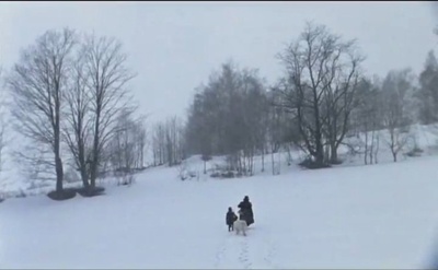 苦儿流浪记剧照的剧照