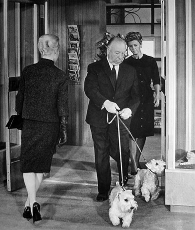 群鸟剧照的剧照